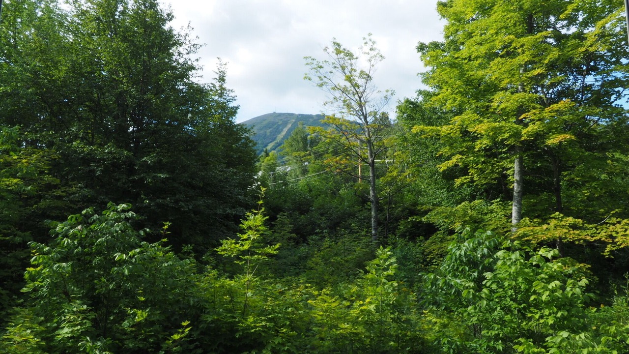 Photo of Bedroom in Carrabassett Valley