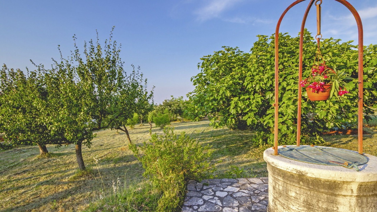 Photo of Outdoor in Rovinjsko Selo