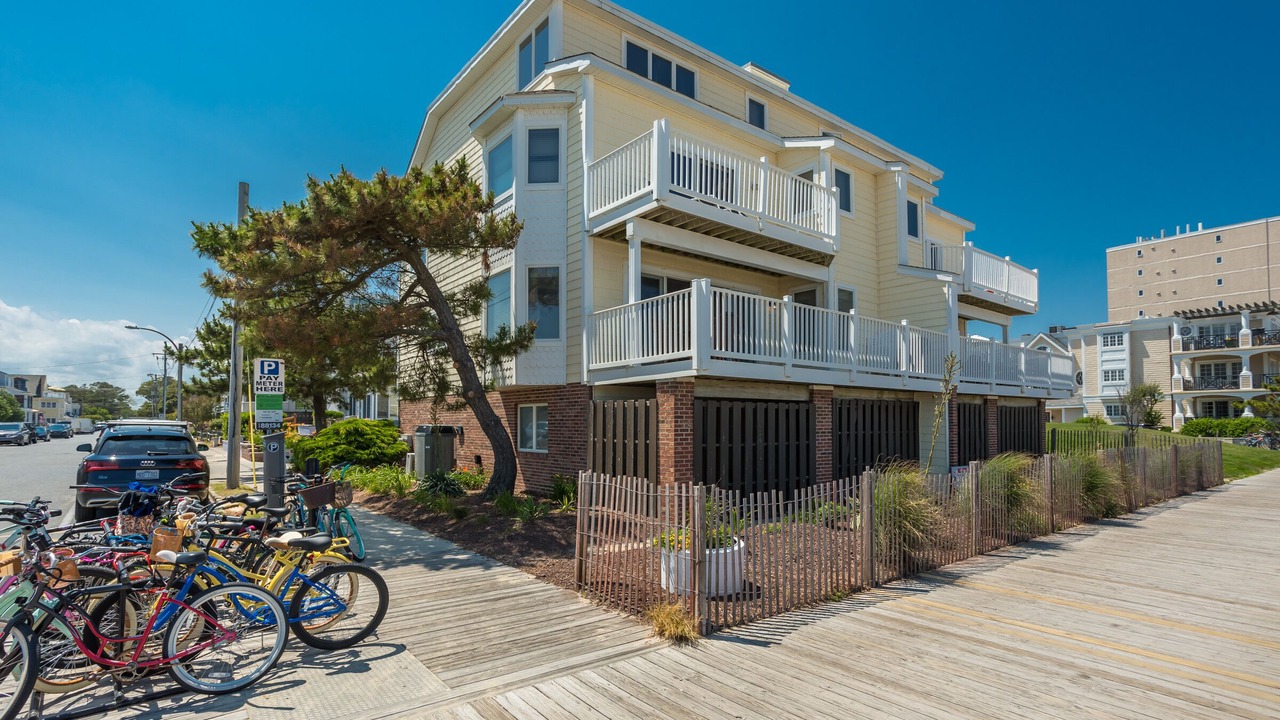 Photo of Others in South Rehoboth