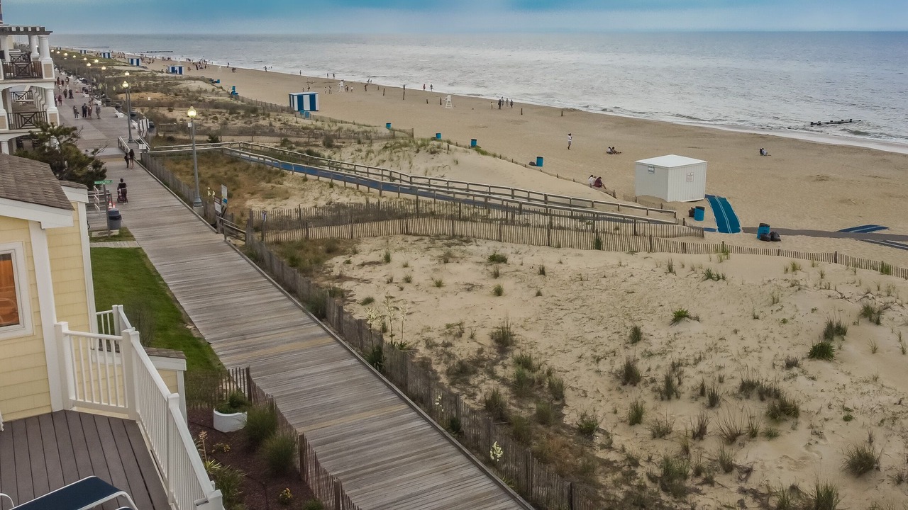 Photo of Others in South Rehoboth