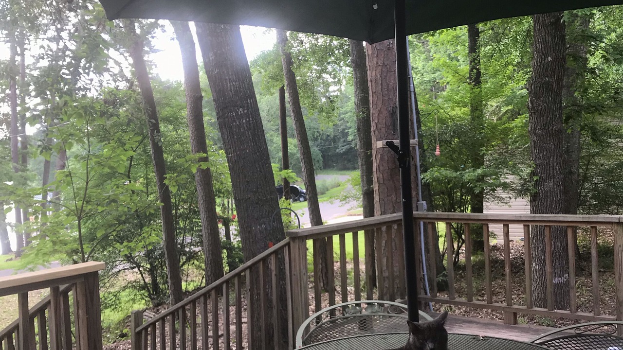 Photo of Outdoor in Hawkins