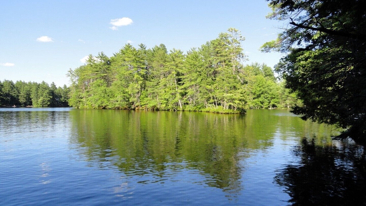 Photo of Outdoor in Lake Arrowhead