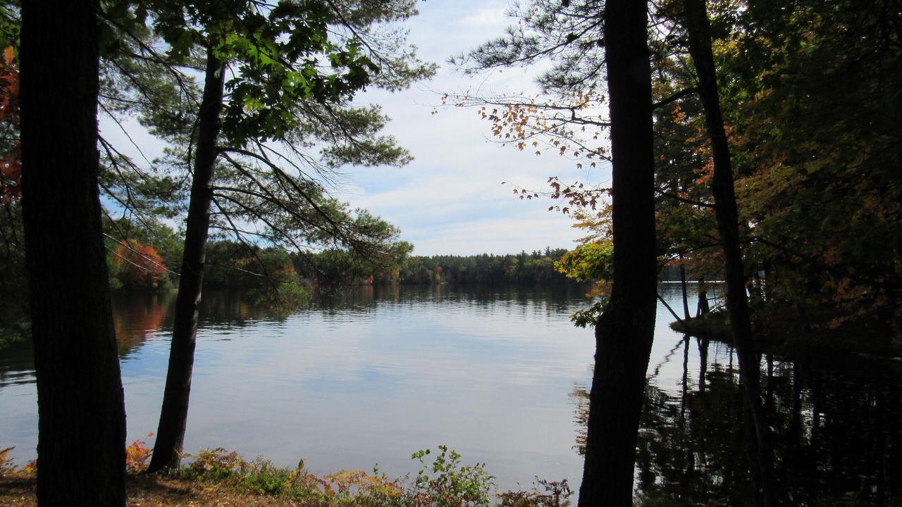 Photo of Outdoor in Lake Arrowhead