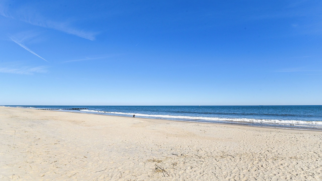 Photo of Others in Rehoboth Beach