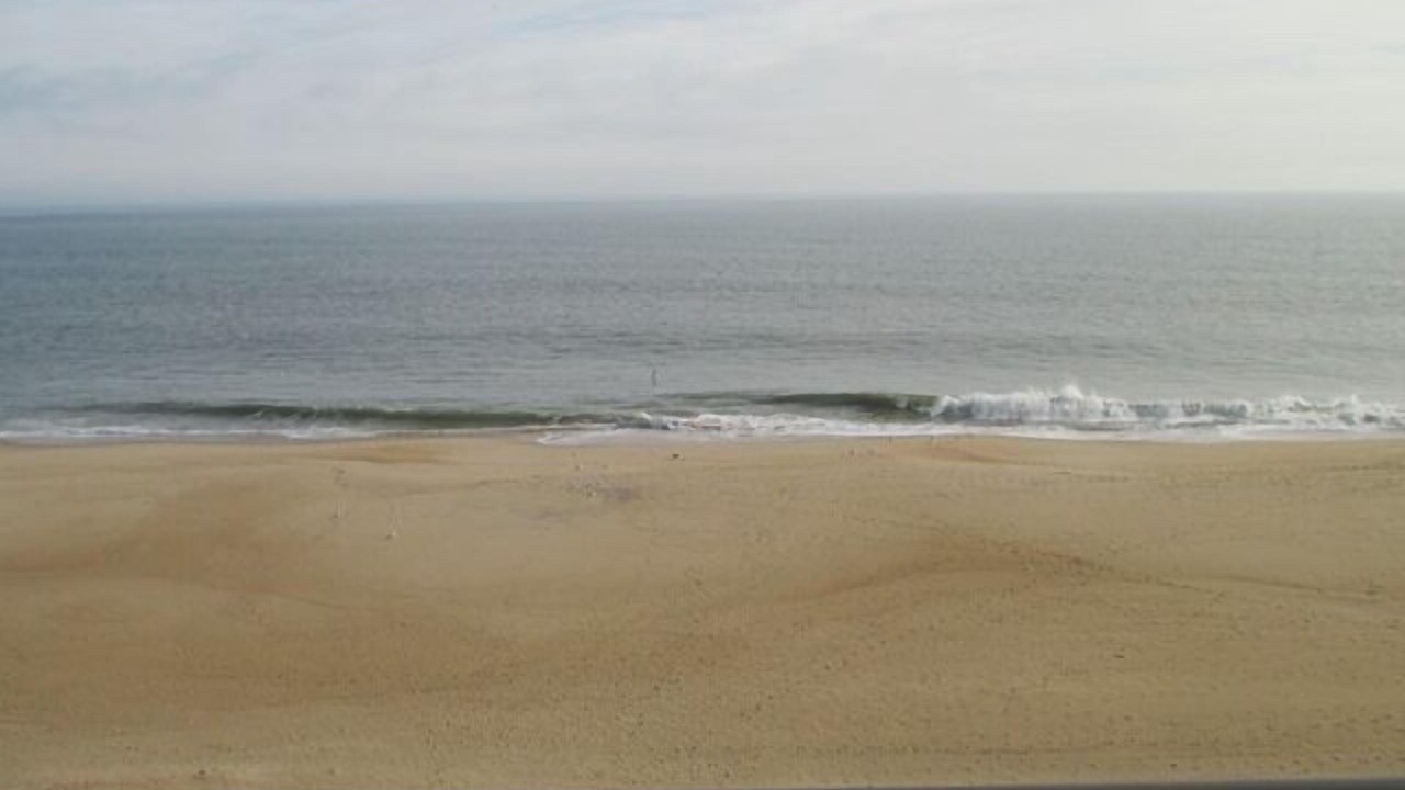 Photo of Others in Rehoboth Beach