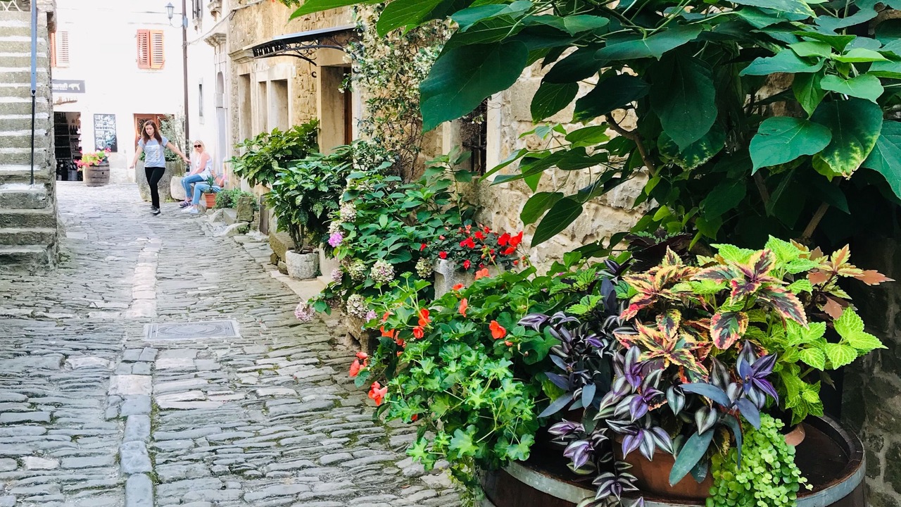 Photo of Outdoor in Brtonigla