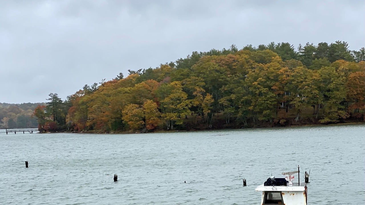 Photo of Others in Isle of Springs