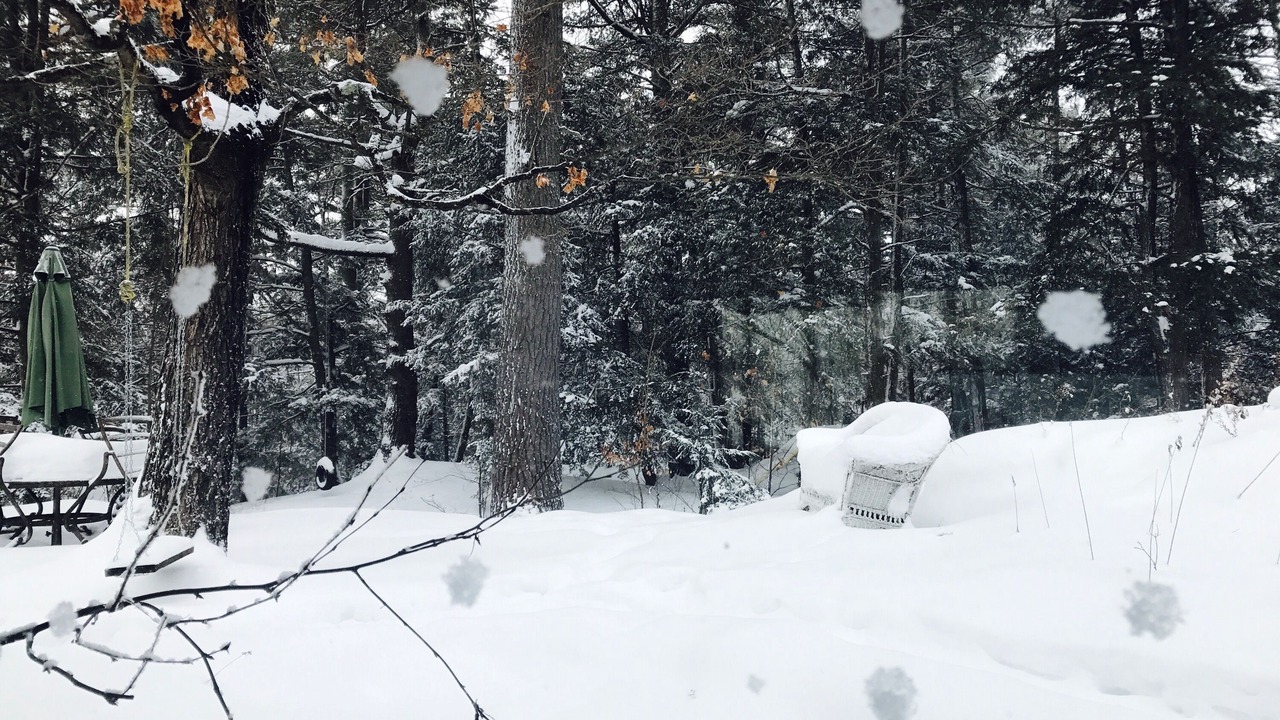 Photo of Outdoor in Chelsea