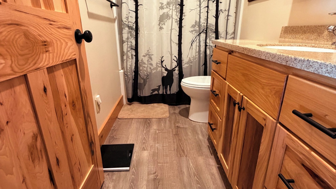 Photo of Bathroom in Mount Gilead