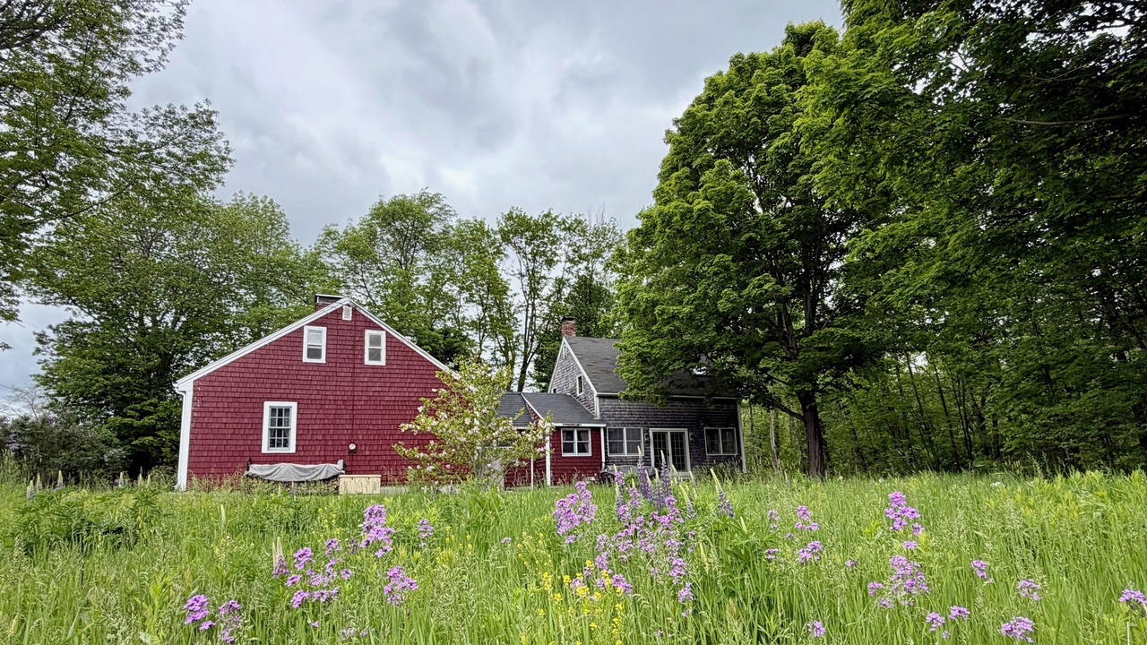 Photo of Outdoor in Waldoboro