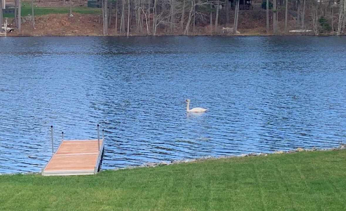 Photo of Others in Augusta