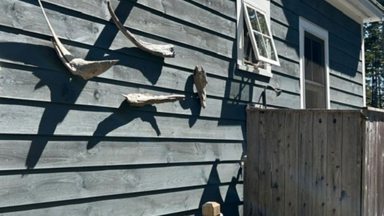 Photo of Outdoor in Tenants Harbor