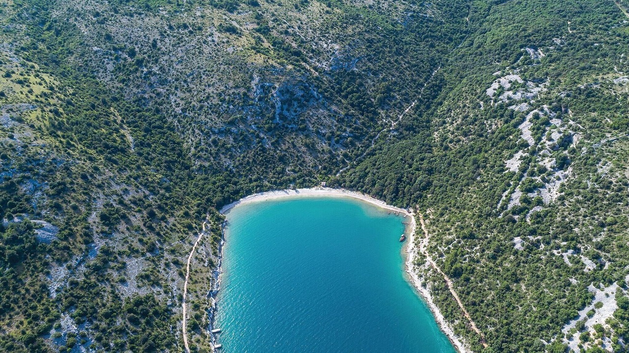 Photo of Others in Bicici