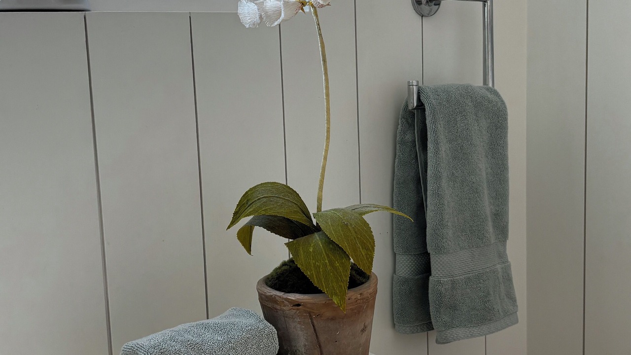 Photo of Bathroom in Camden