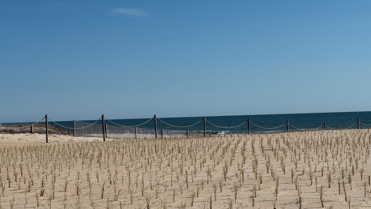 Photo of Others in South Bethany
