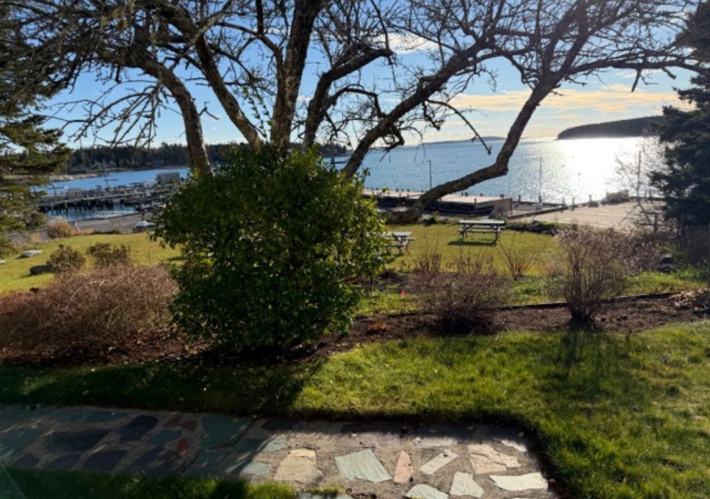 Photo of Outdoor in Port Clyde