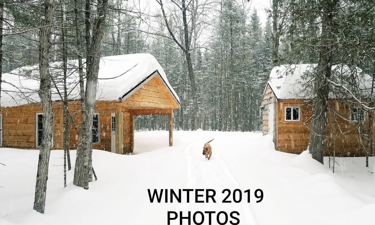 Photo of Outdoor in Abbot