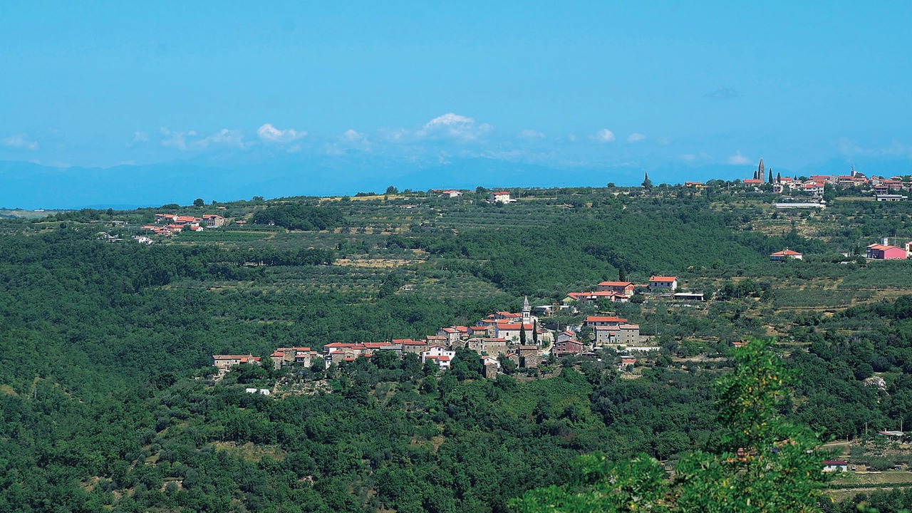 Photo of Others in Buje