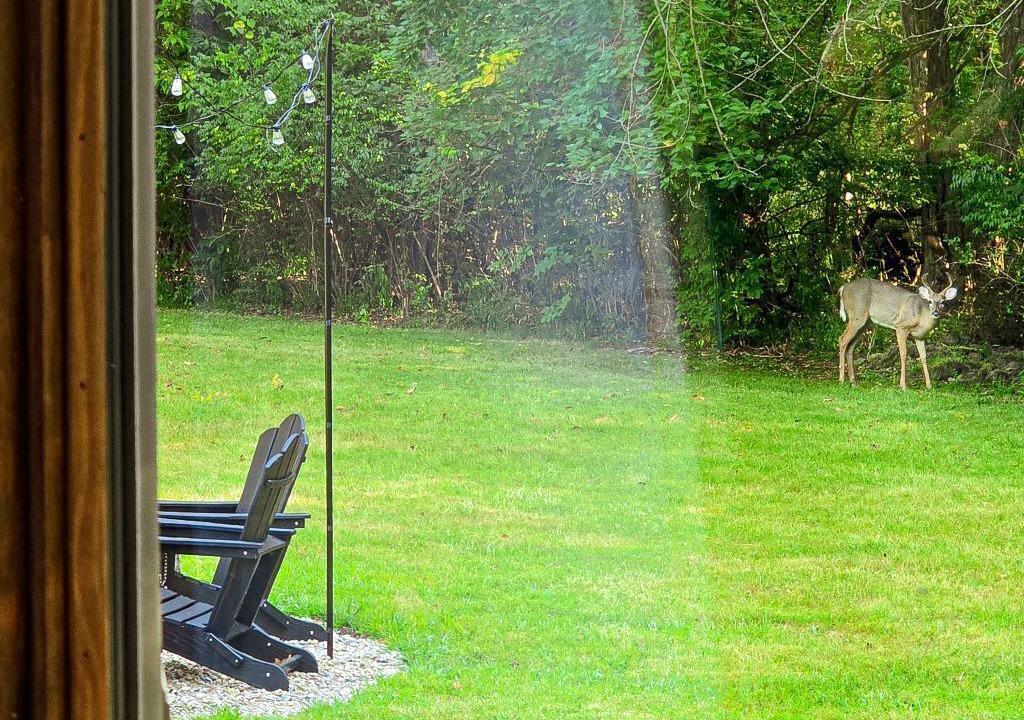 Photo of Outdoor in Westerville