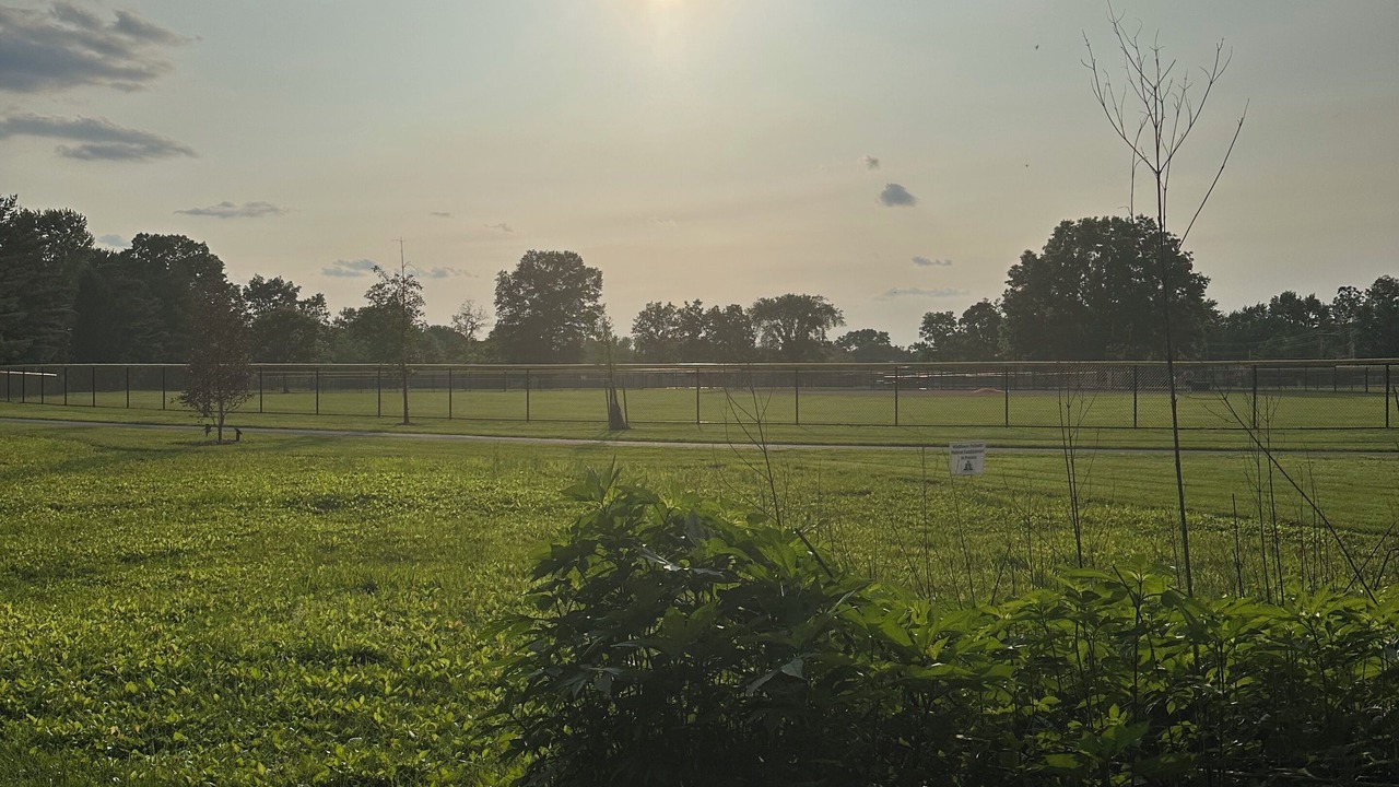 Photo of Others in Lehy Acres