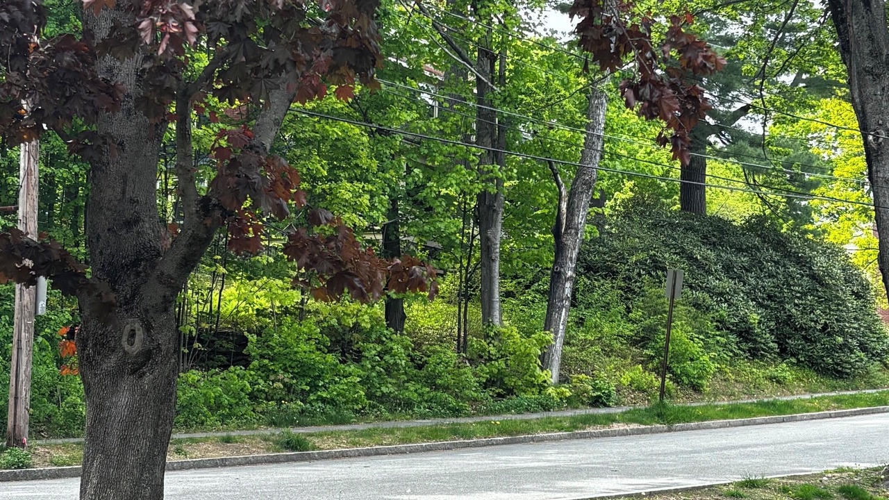 Photo of Others in Lewiston