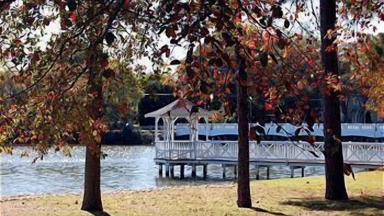 Photo of Outdoor in The Pines