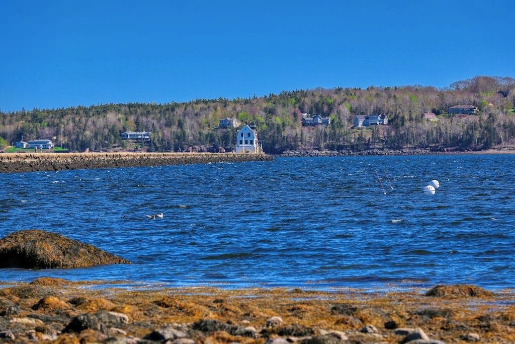 Photo of Others in Port Clyde