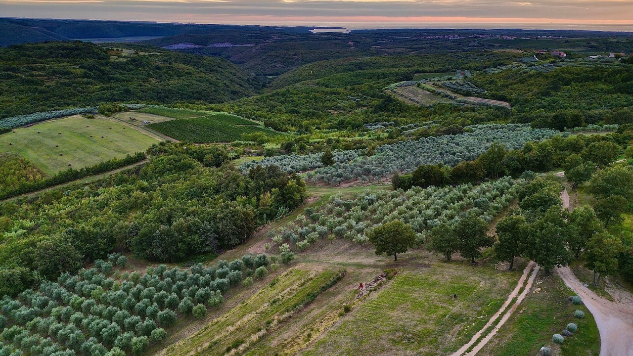 Photo of Outdoor in Baredine