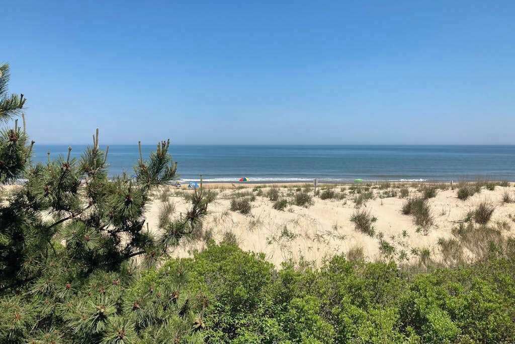 Photo of Others in Fenwick Island