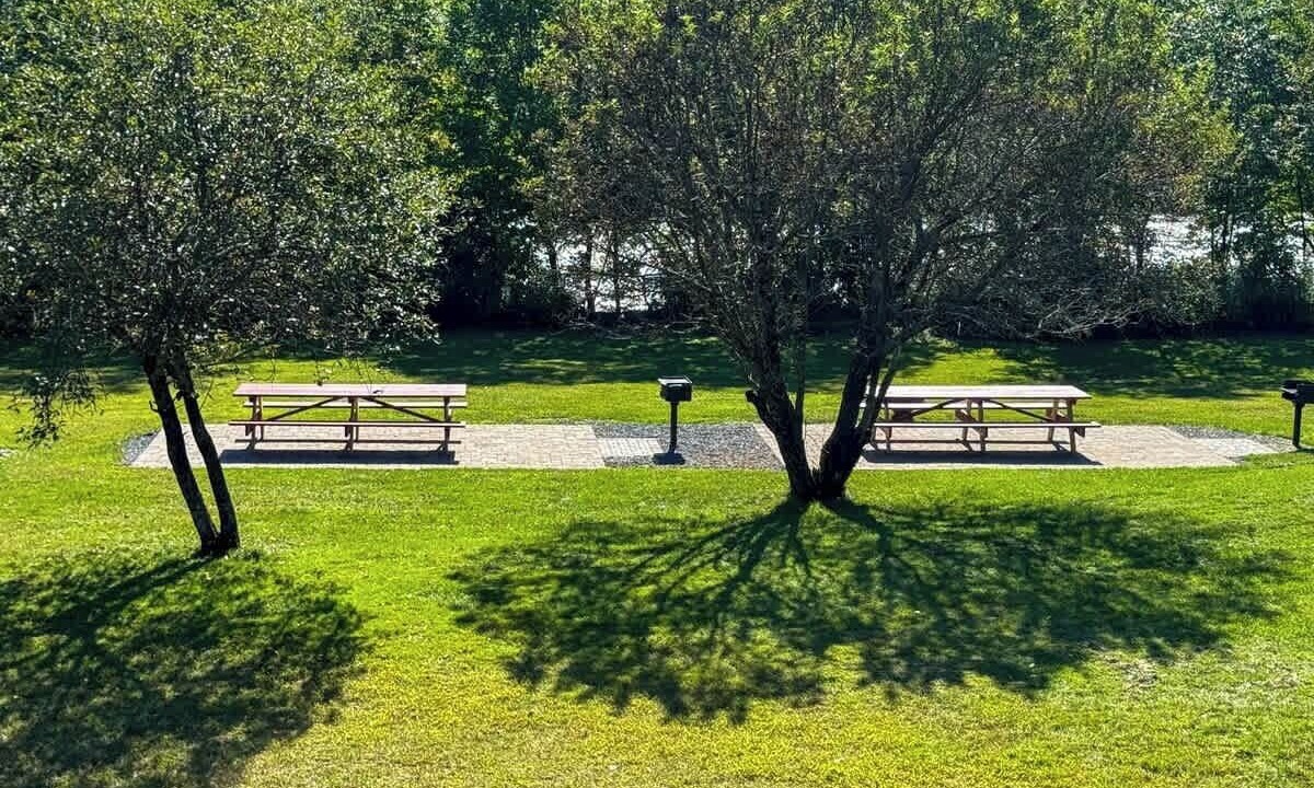 Photo of Outdoor in The Forks