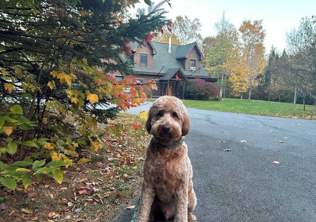 Photo of Outdoor in Kingfield