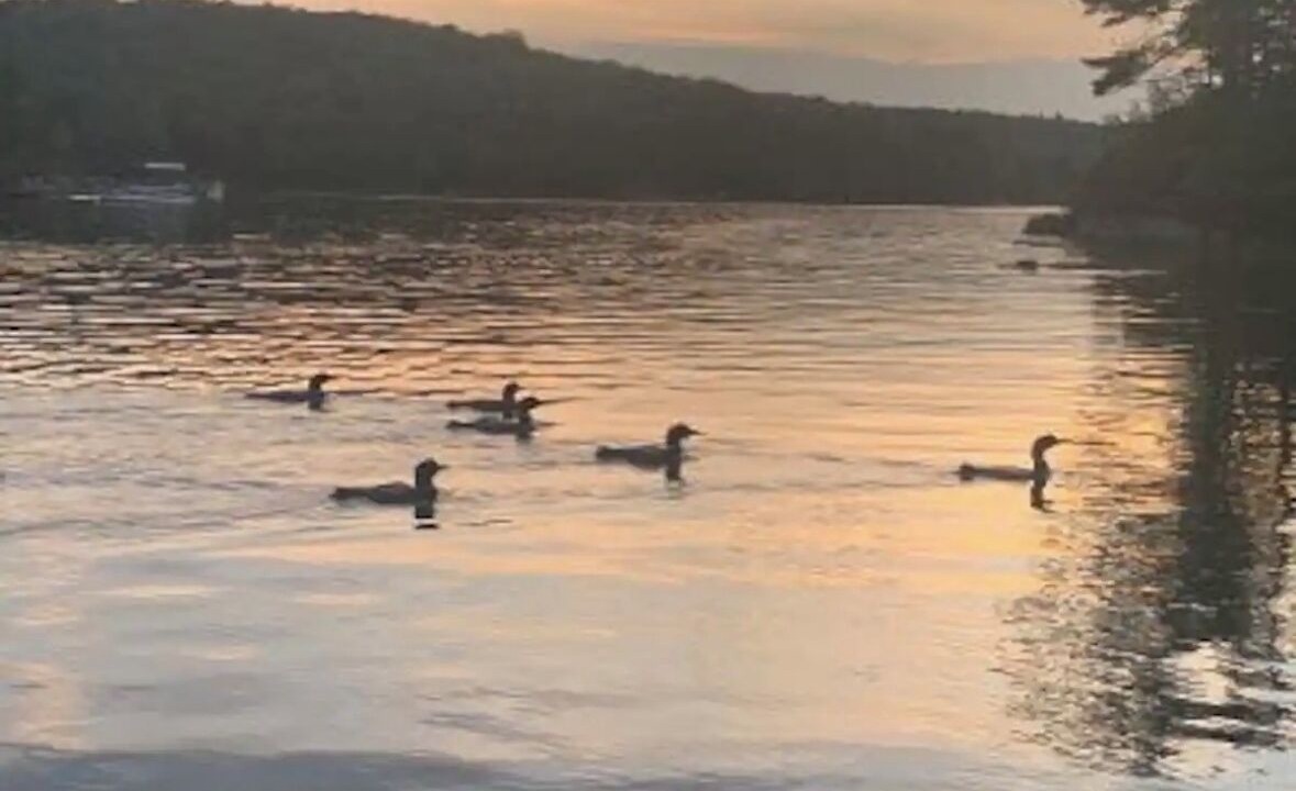 Photo of Others in Lucerne-in-Maine