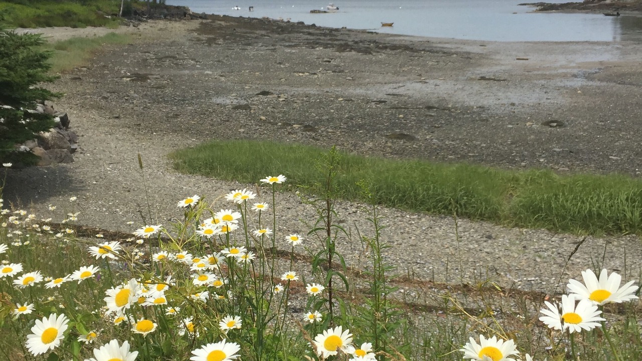 Photo of Others in Salsbury Cove