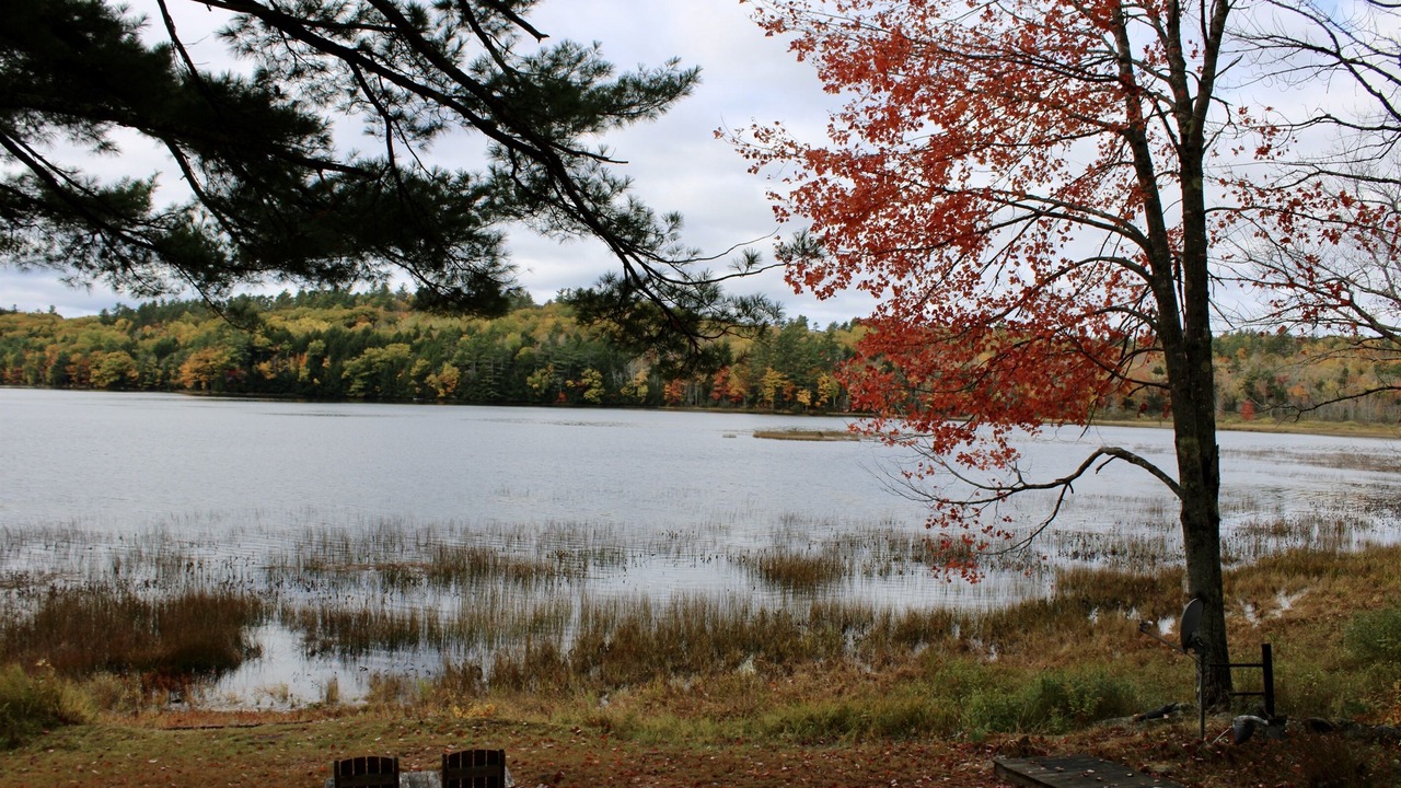 Photo of Outdoor in Bucksport
