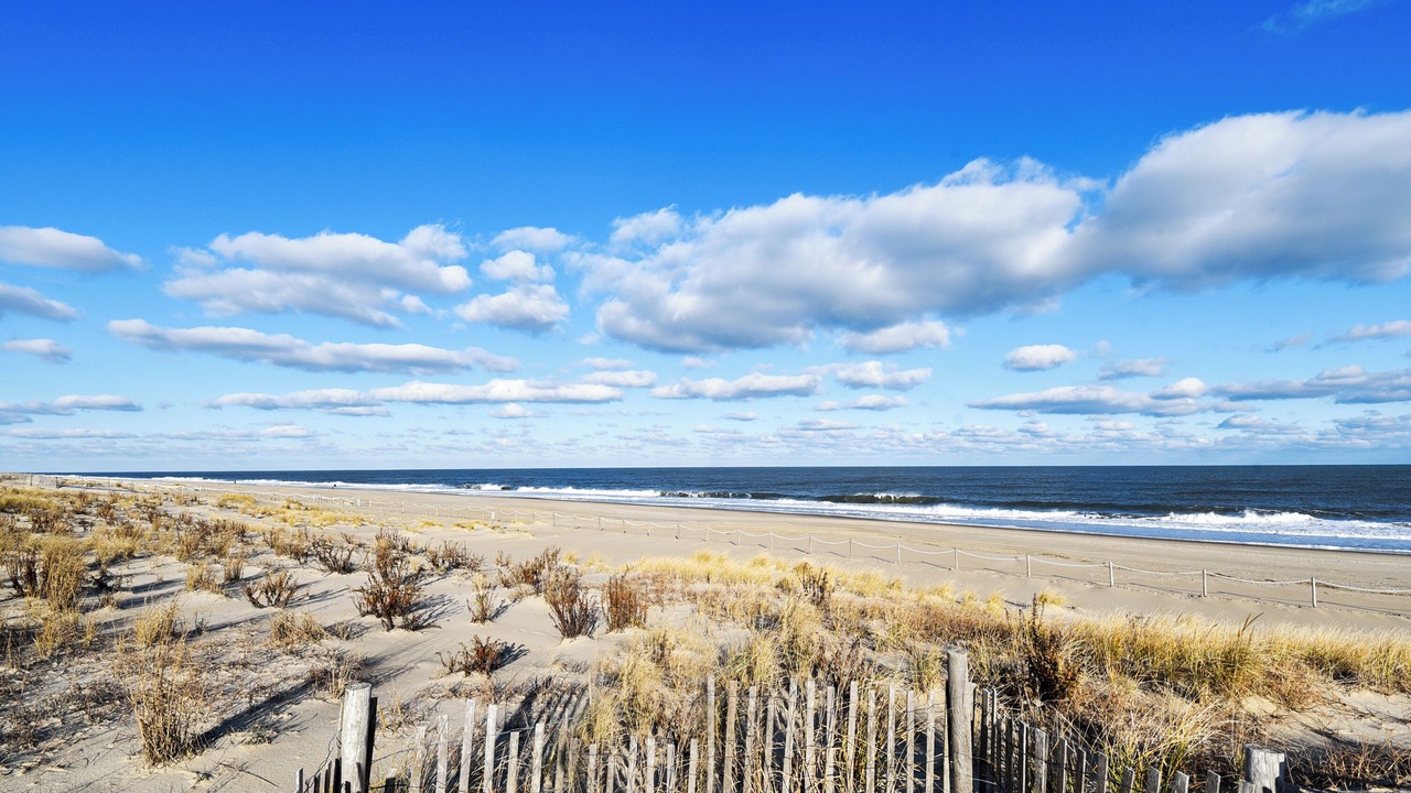 Photo of Outdoor in Fenwick Island