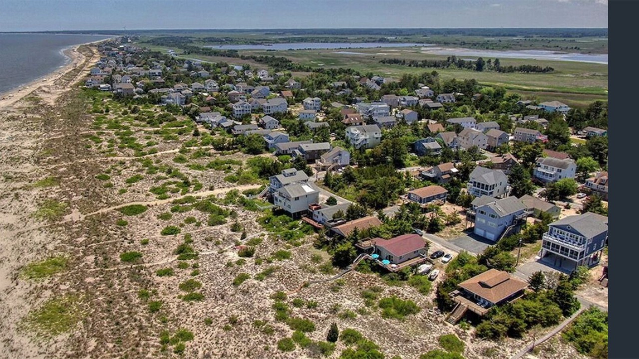Photo of Outdoor in Broadkill Beach