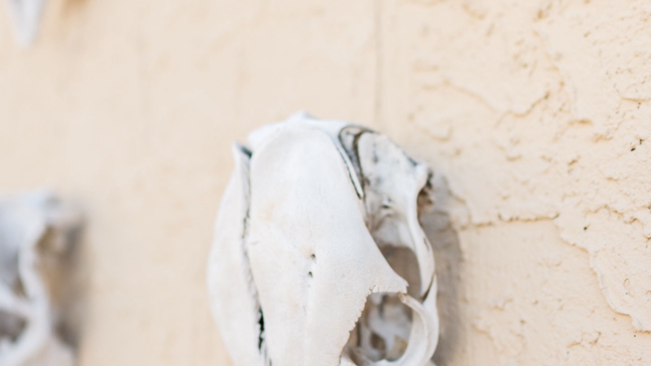 Photo of Outdoor in Marfa
