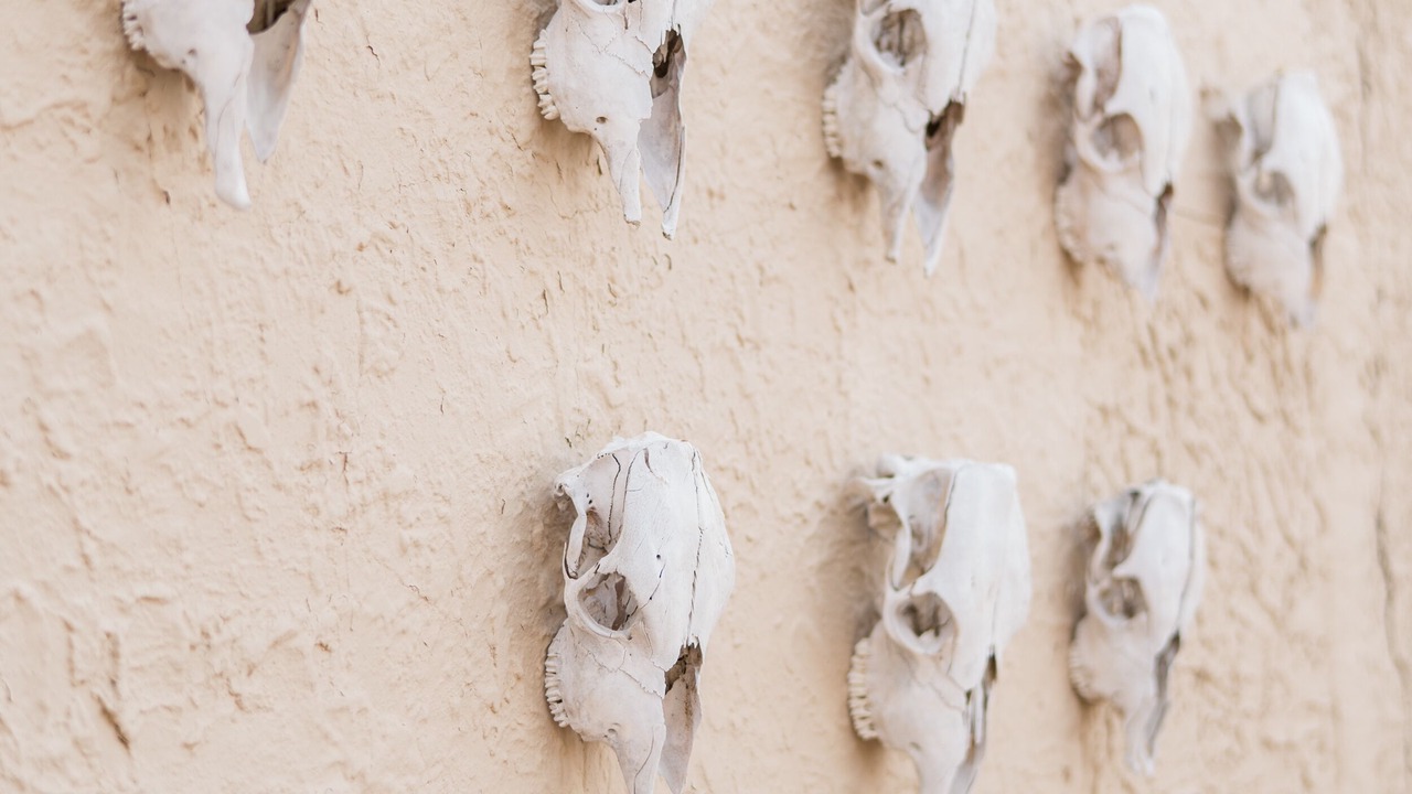 Photo of Outdoor in Marfa