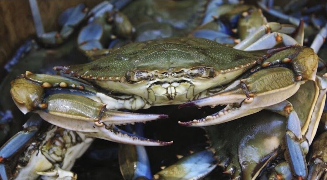 Photo of Others in Dutton