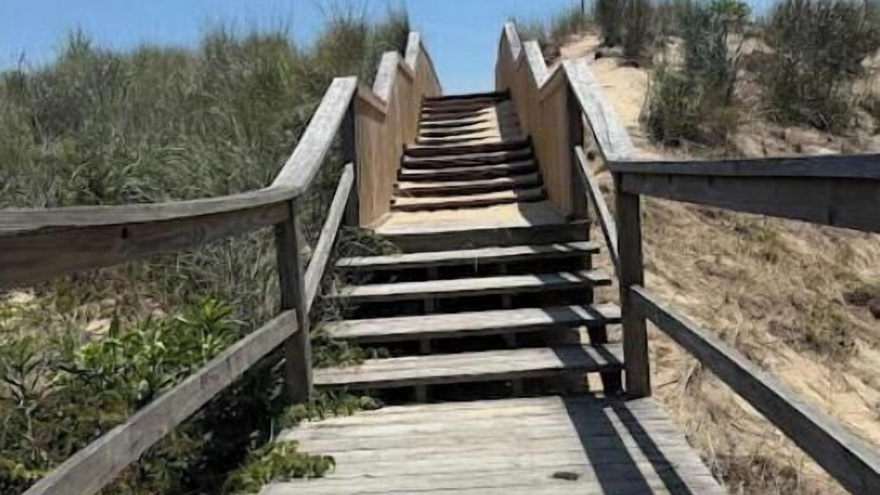Photo of Others in Fenwick Island