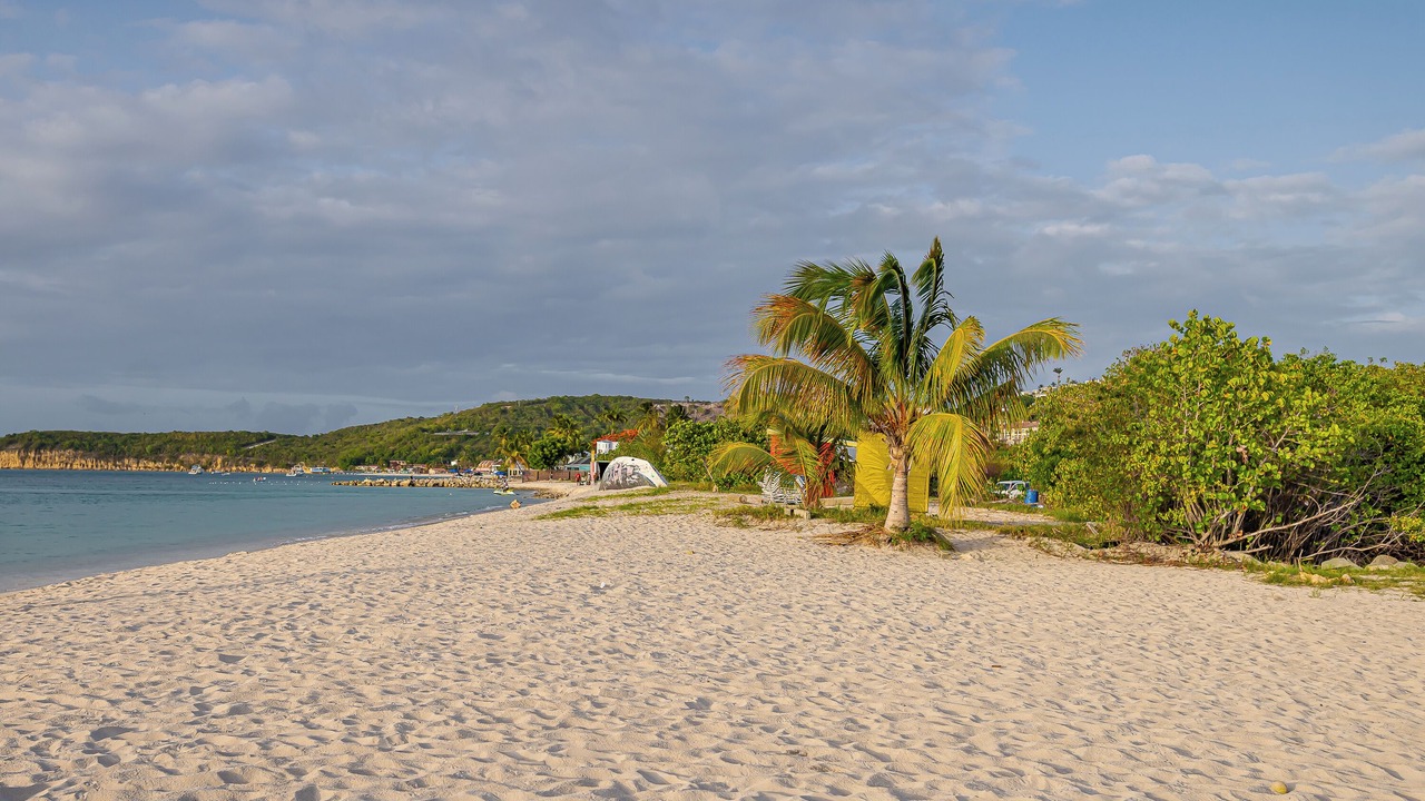 Photo of Others in Runaway Bay