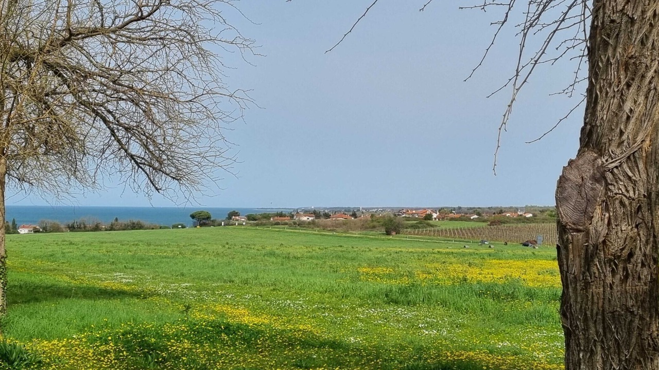 Photo of Outdoor in Dajla