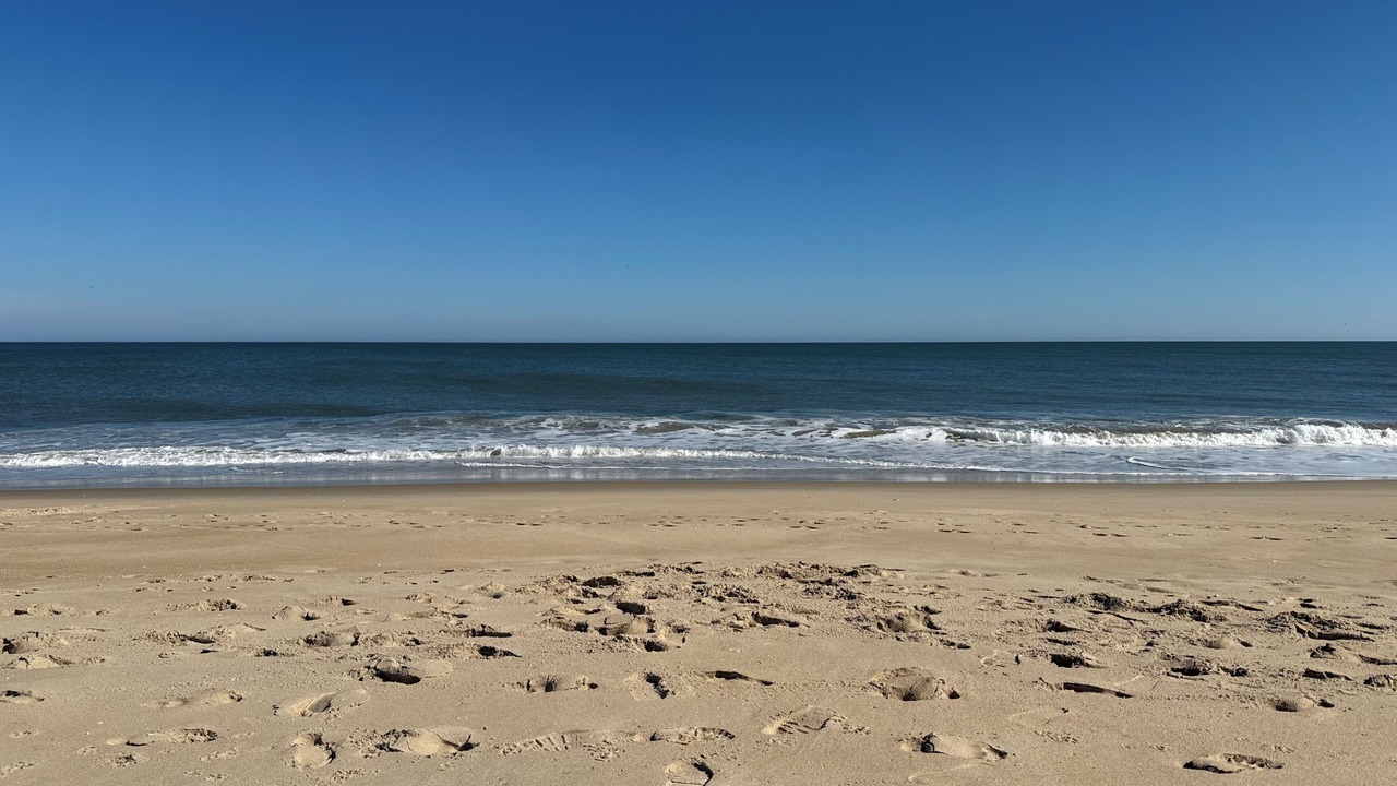 Photo of Others in South Rehoboth
