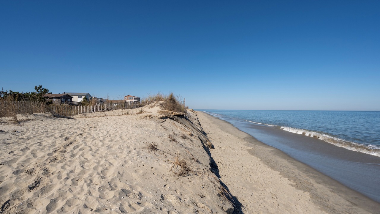 Photo of Others in Broadkill Beach