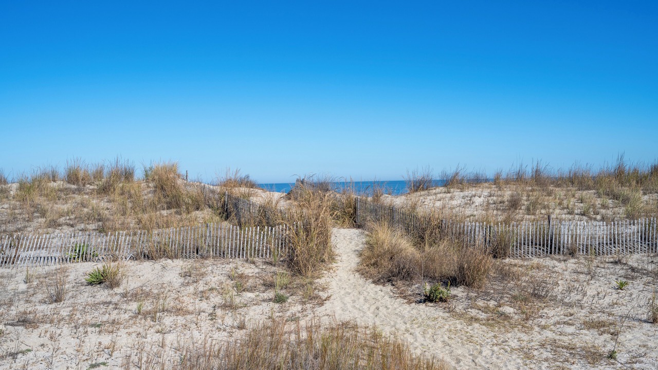 Photo of Others in Broadkill Beach