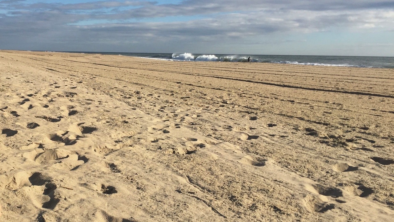 Photo of Others in Rehoboth by the Sea