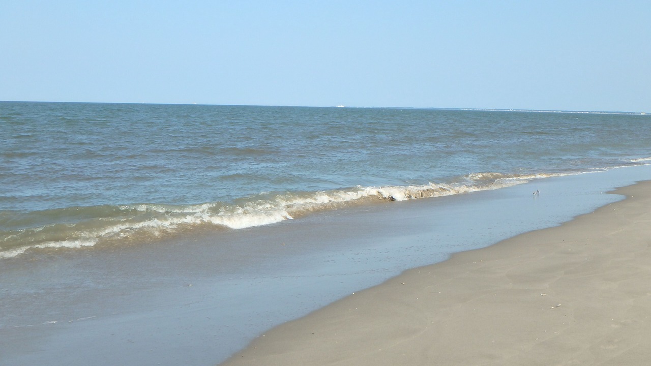 Photo of Others in Broadkill Beach