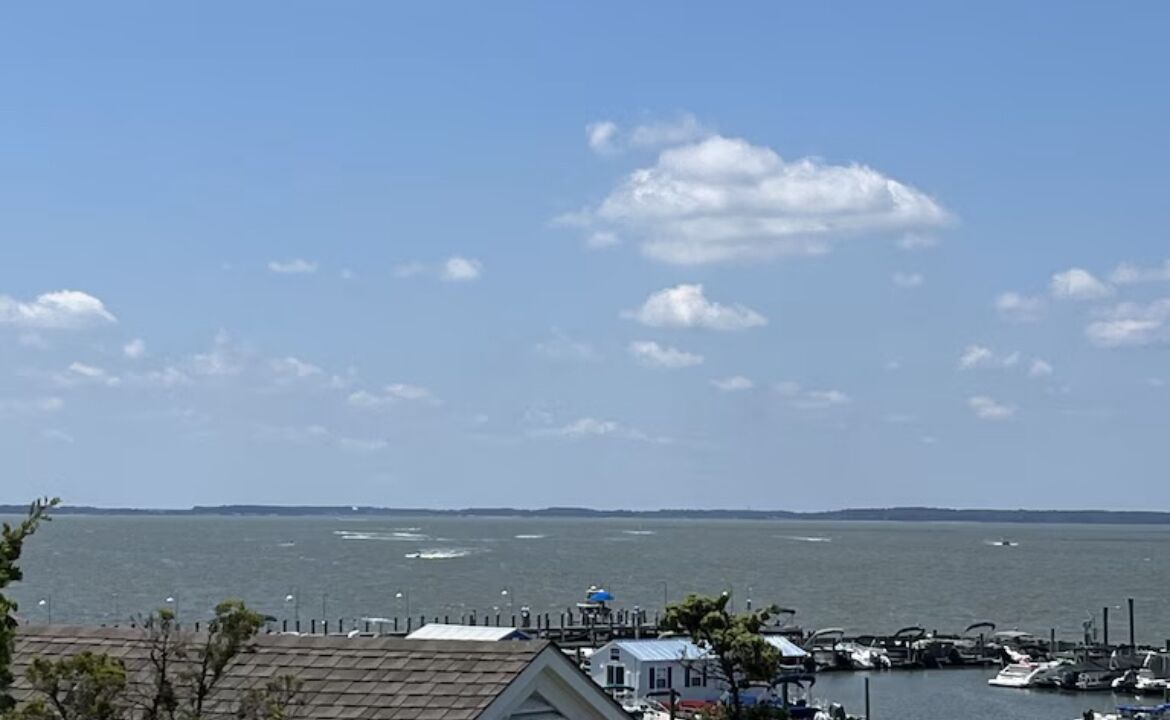 Photo of Others in Dewey Beach