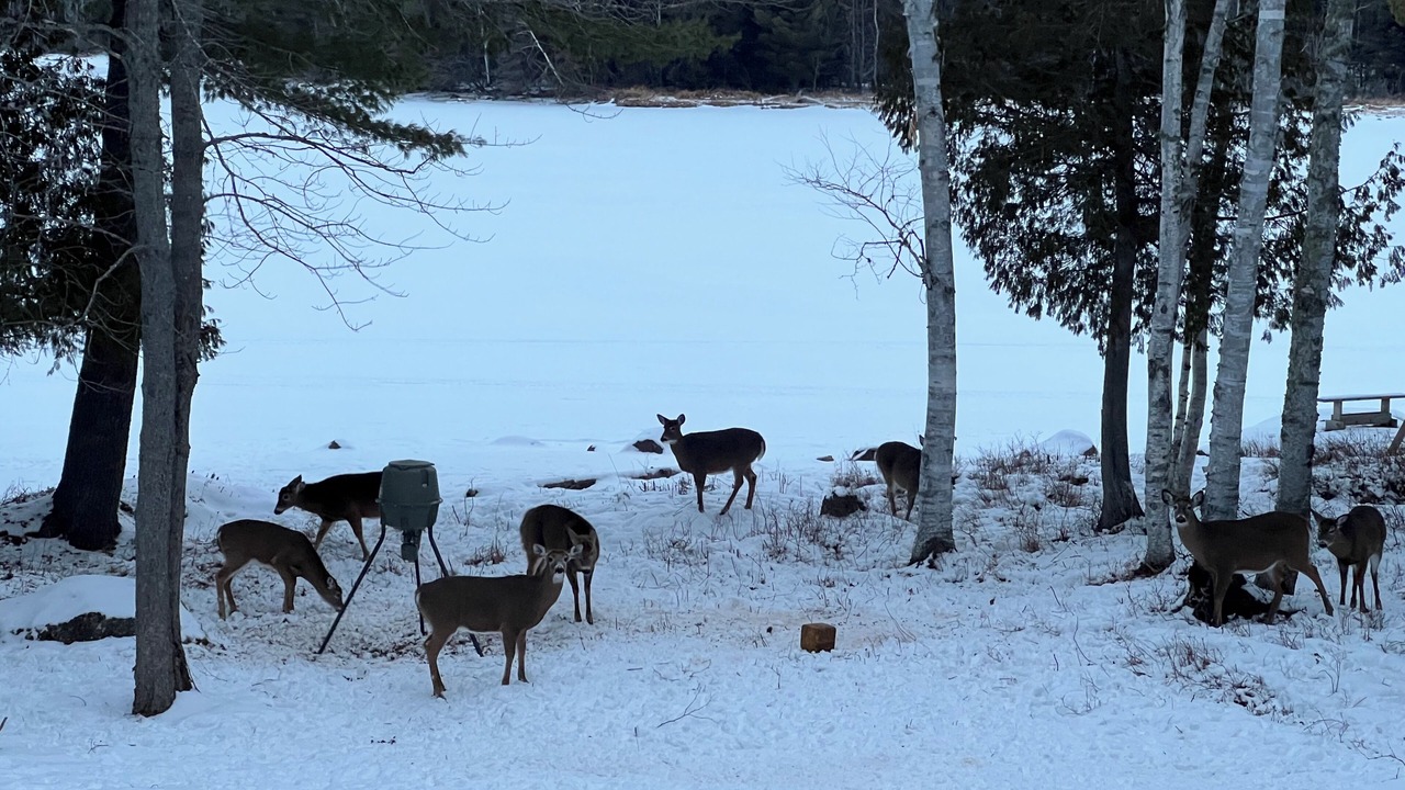 Photo of Others in Stratton