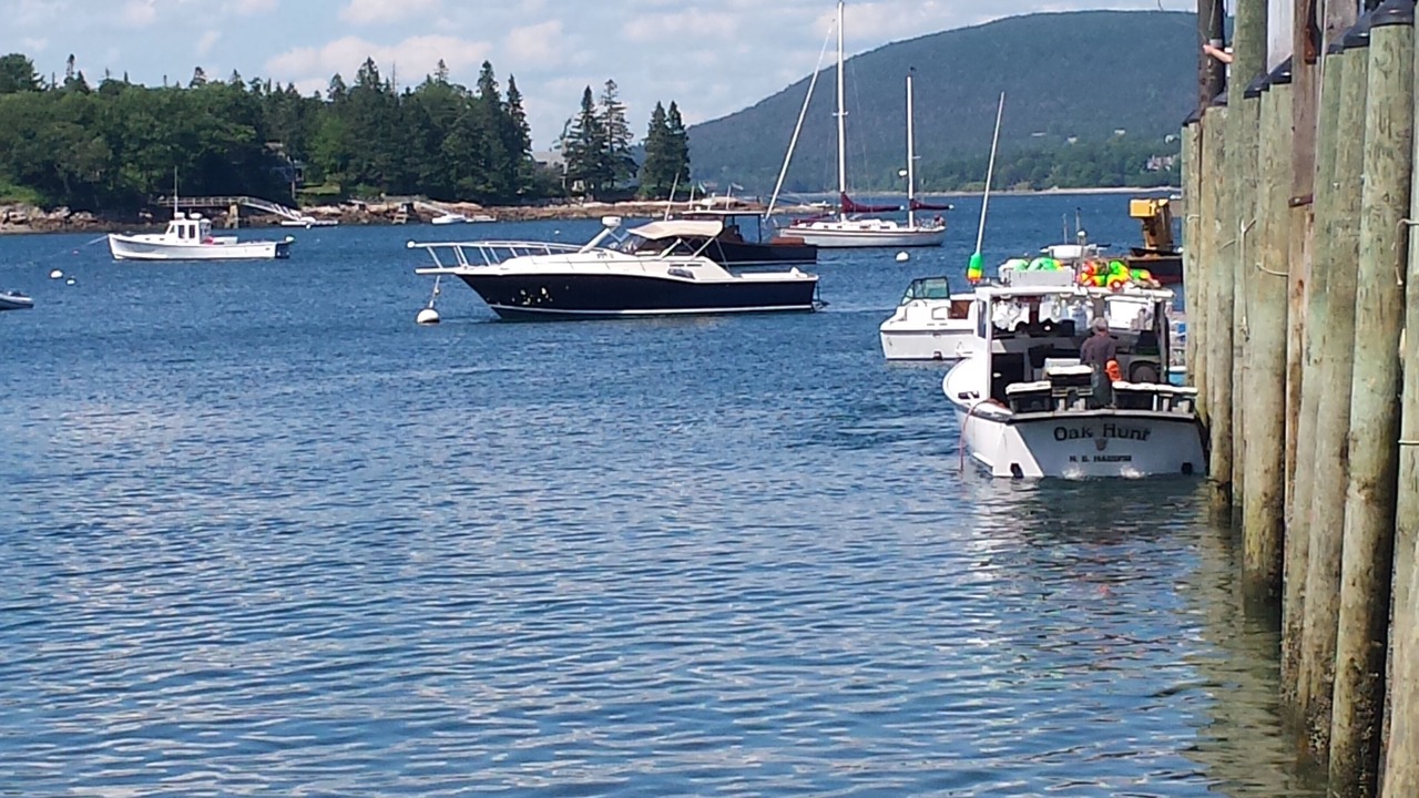 Photo of Others in Southwest Harbor